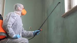 Best Mold Remediation for Healthcare Facilities in USA